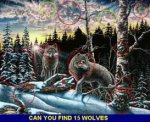 find15wolveskreise8vu.jpg