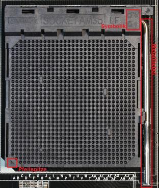 AMD Prozessor-Sockel