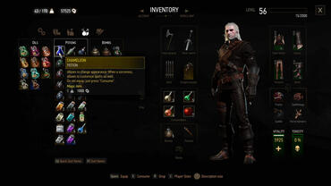 The Witcher 3 Custom Player Characters 