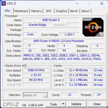 AMD Ryzen 9 9900X CPUz