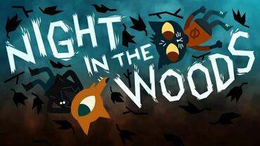 Night In The Woods.JPG