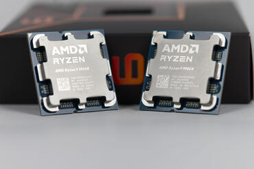 AMD Ryzen 9 9950X Ryzen 9 9900X