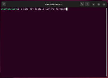 Ubuntu 24.10 shell