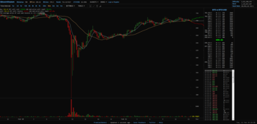 Bitcoin-Kurs bei Mt.Gox