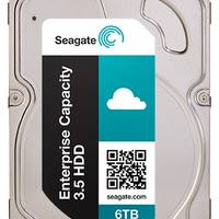 Seagate Enterprise Capacity 3.5 6 TB HDD v4