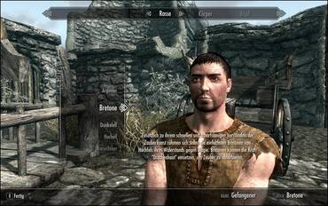 The Elder Scrolls 5 Skyrim (TES)