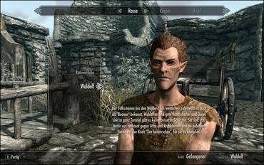 The Elder Scrolls 5 Skyrim (TES)