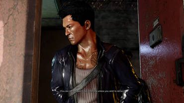 Sleeping Dogs Review