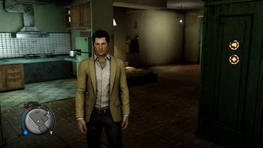 Sleeping Dogs Review